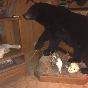 Meet your Posher, Eric